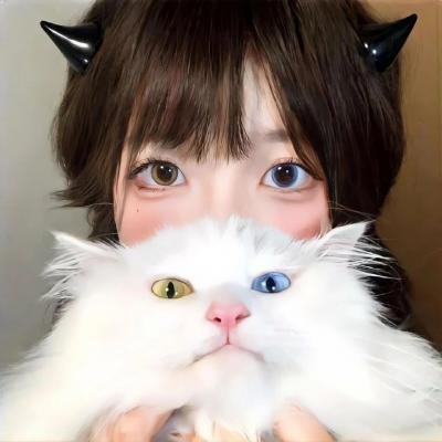 蜘蛛与郁金香
