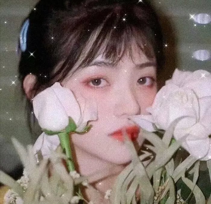 迷离春色芙蓉帐