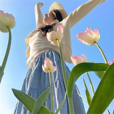 灵书妙探第四季